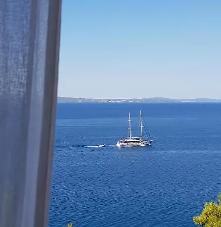 Sunrise Vid * ドゥギ・ラット